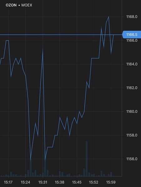 Котировки Ozon на Мосбирже в понедельник подскочили на 10%, после поручения президента Путина помочь им привлечь капитал