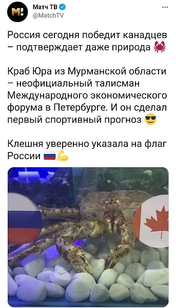 На форуме многое идет не так